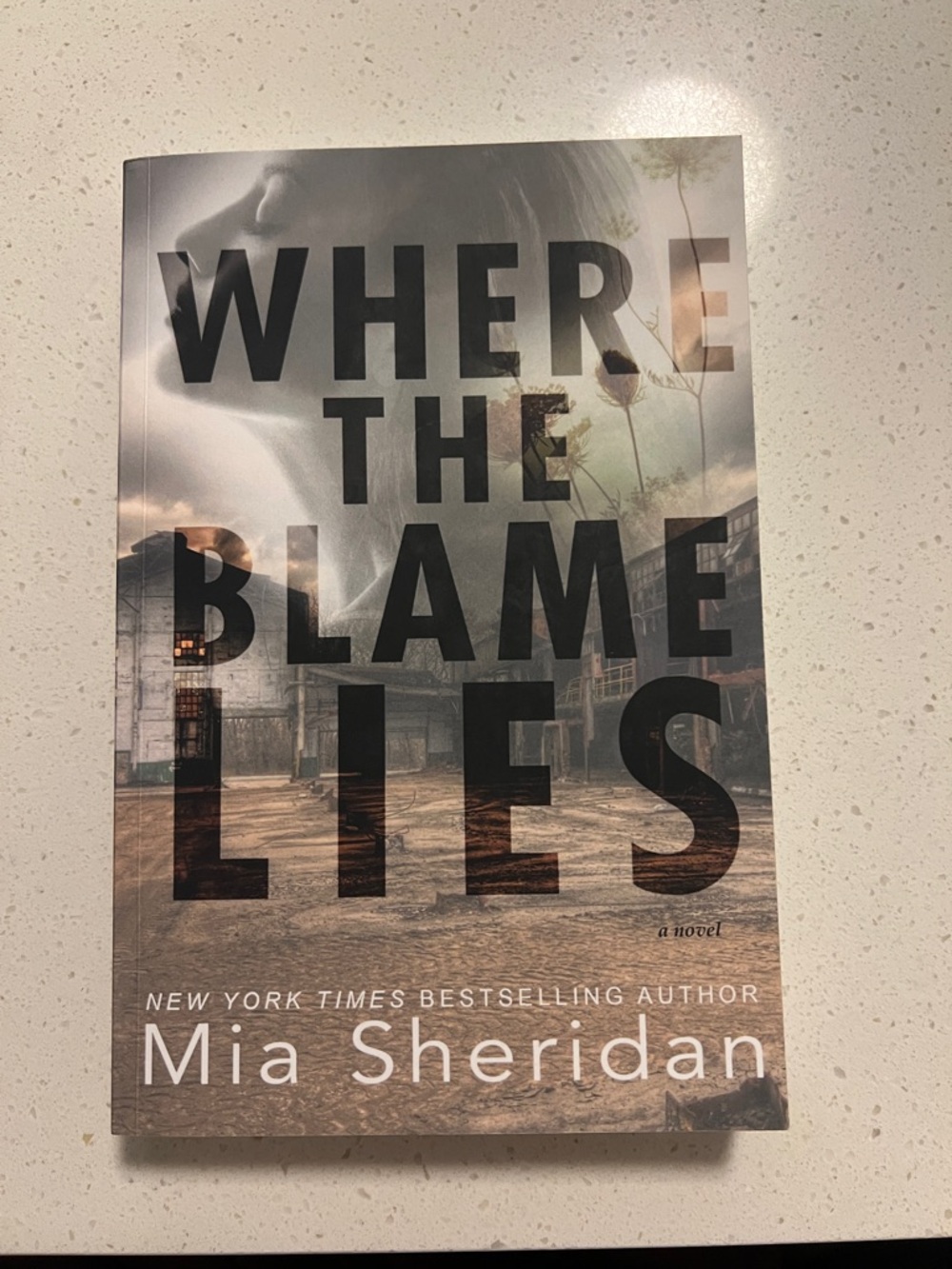 Where the Blame Lies by Mia Sheridan